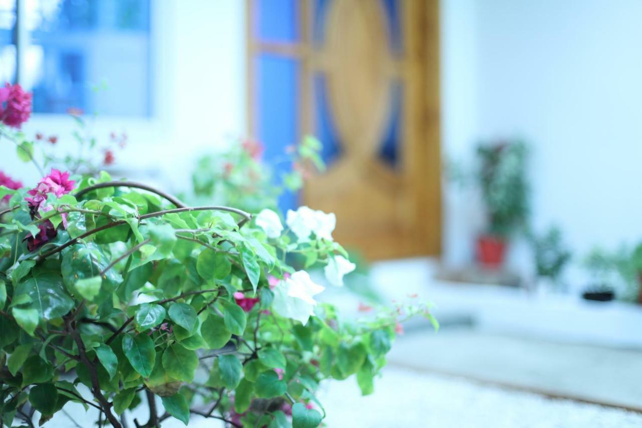 Moodhu Surf House Otel Himmafushi Dış mekan fotoğraf